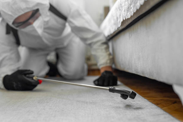 Professional Termite Control technician working in Cherryville, NC