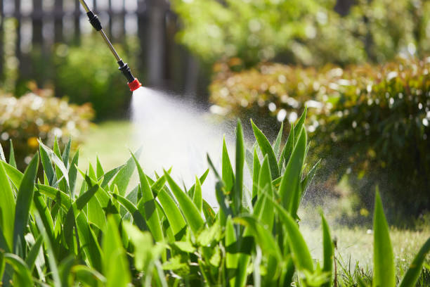 24/7 Emergency Termite Control experts in Cherryville, NC