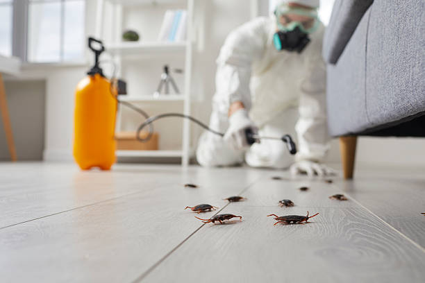 Trusted Cockroach Control service in Cherryville, NC - Nex Pest Control